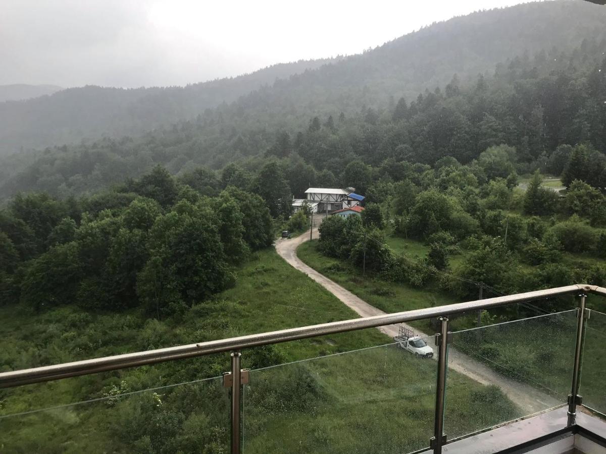 Mountain Residence Sinaia Exterior foto