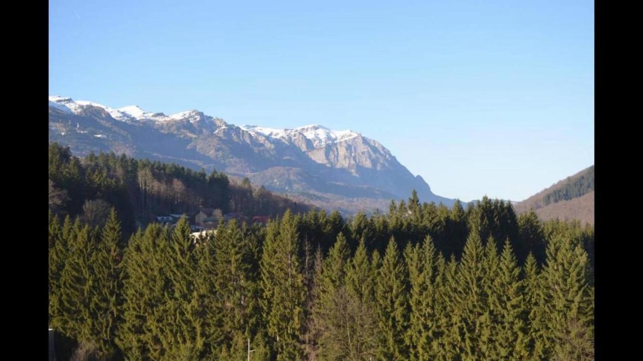 Mountain Residence Sinaia Exterior foto
